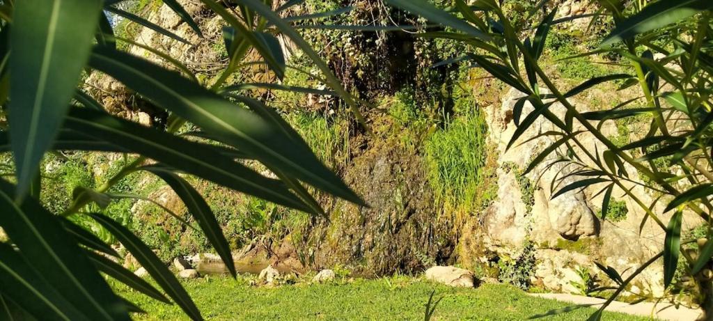 Molino del Caracol Benaoján Exterior foto